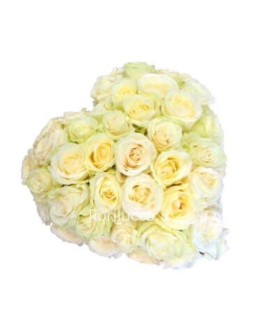 Cuore di rose bianche